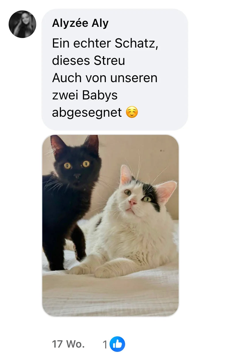 Facebook-Kommentar von Alyzée Aly (1 Reaktionen): „Ein echter Schatz, dieses Streu Auch von unseren zwei Babys abgesegnet ☺️“