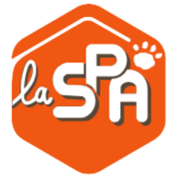 Geruchshemmende Katzenstreu Pacha