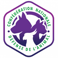 Geruchshemmende Katzenstreu Pacha