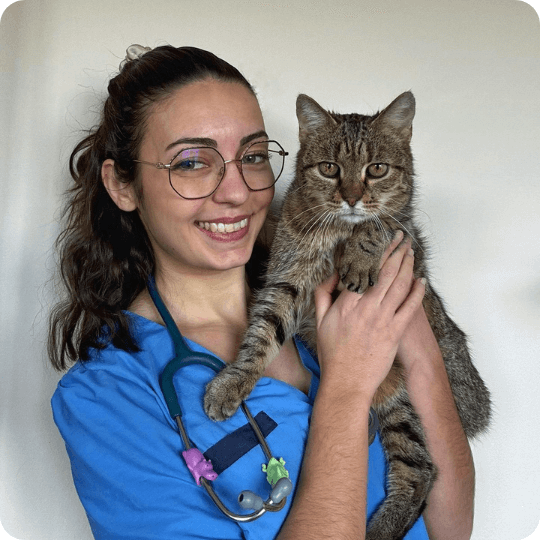 Livrée gratuitement tous