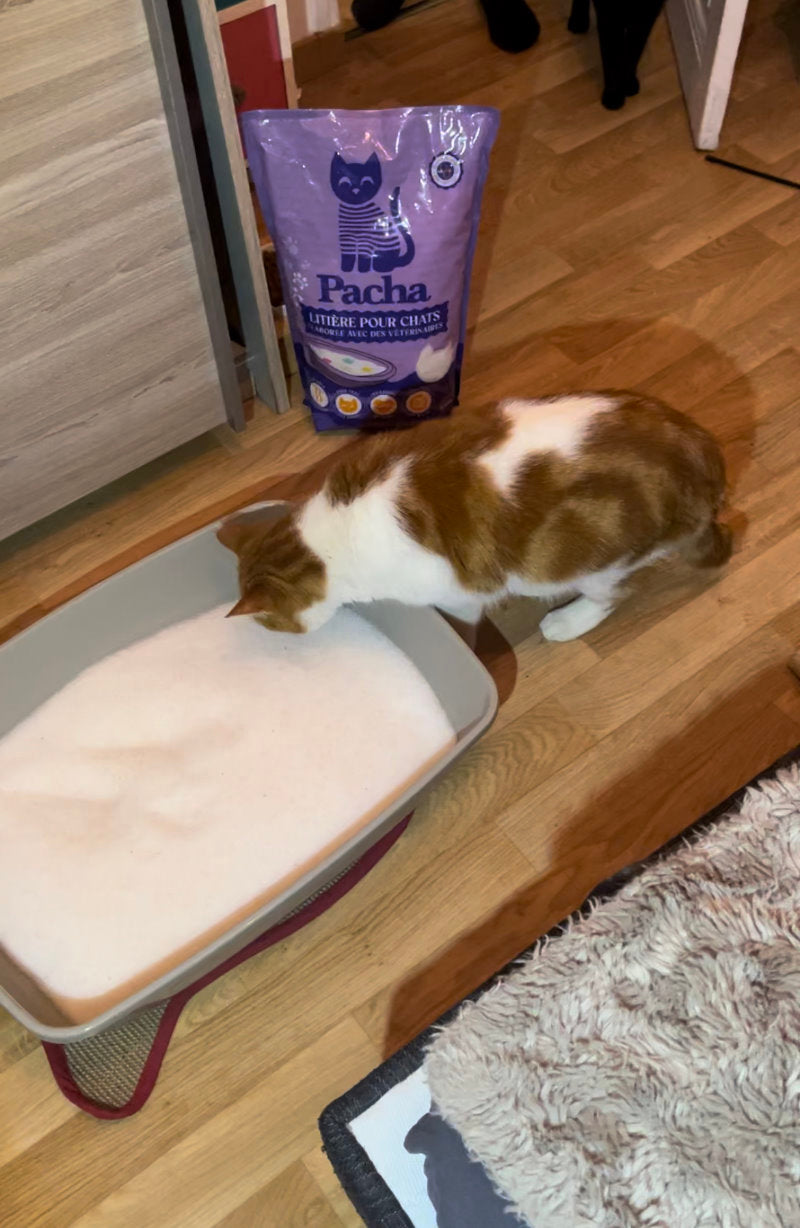 Livrée gratuitement tous