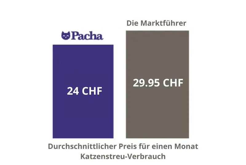 8. Spare jeden Monat 15%