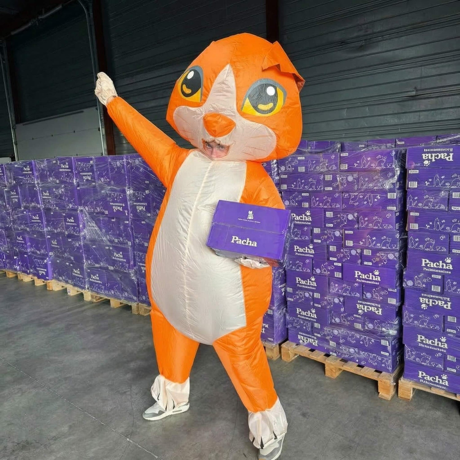 Geruchshemmende Katzenstreu Pacha