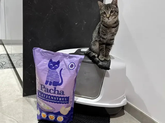 Von einem Katzenhalter geteiltes Foto: die Katze neben dem Pacha-Sack