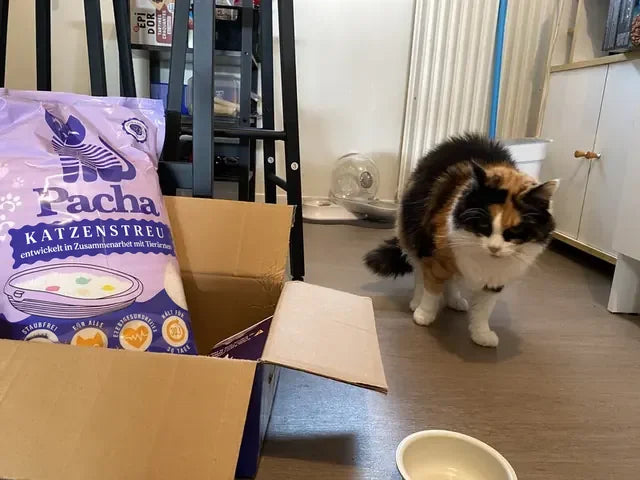 Von einem Katzenhalter geteiltes Foto: die Katze neben dem Pacha-Sack