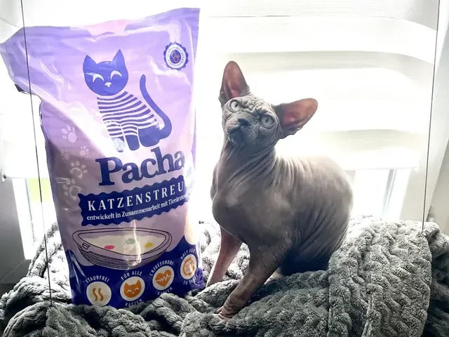 Von einem Katzenhalter geteiltes Foto: die Katze neben dem Pacha-Sack
