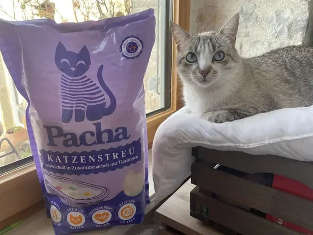 Von einem Katzenhalter geteiltes Foto: die Katze neben dem Pacha-Sack