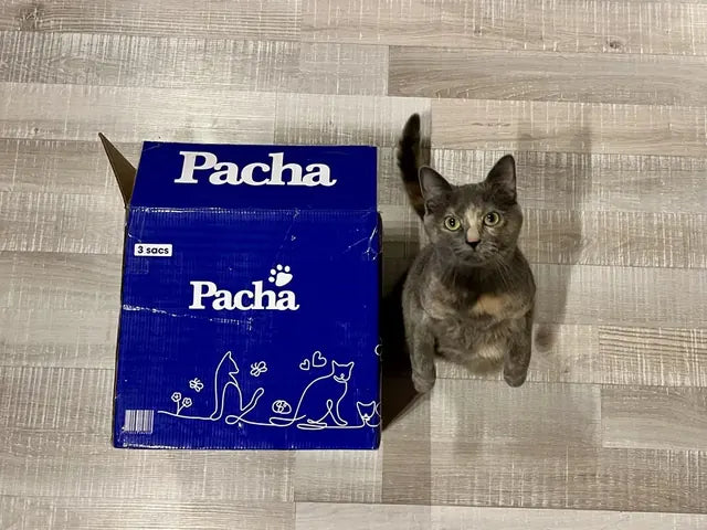 Von einem Katzenhalter geteiltes Foto: die Katze neben dem Pacha-Sack