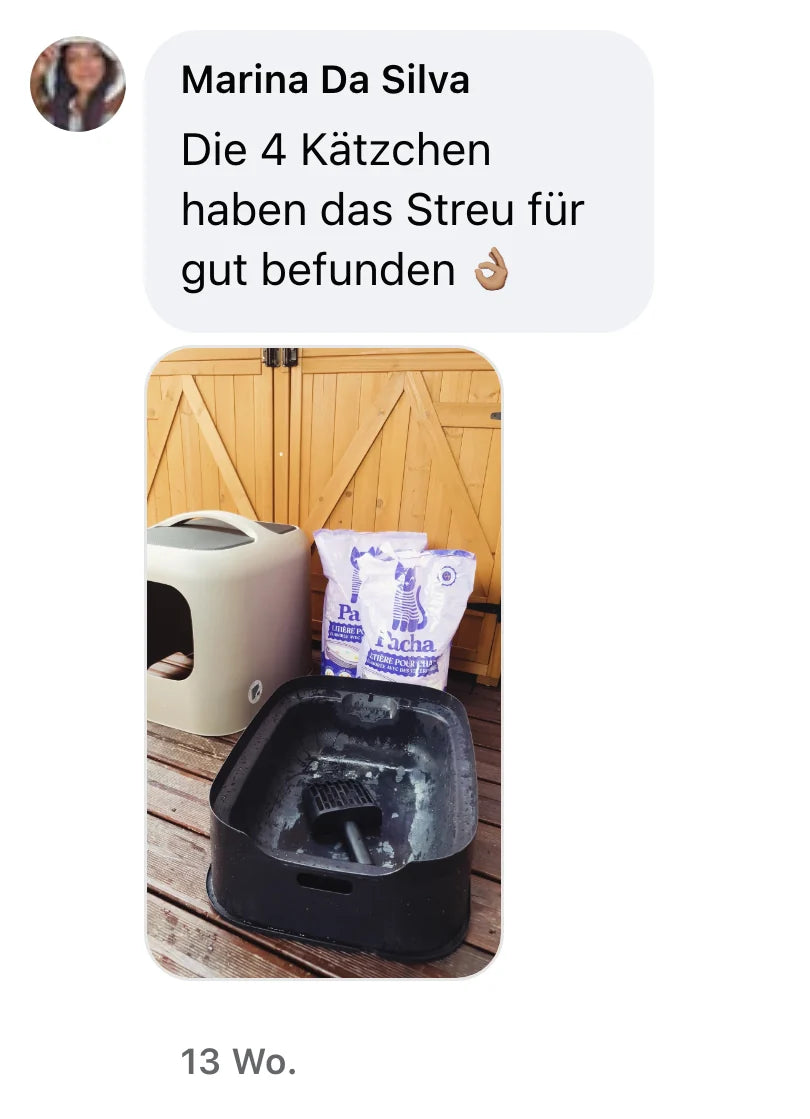 Facebook-Kommentar von Marina Da Silva: „Die 4 Kätzchen haben das Streu für gut befunden 👌🏽“