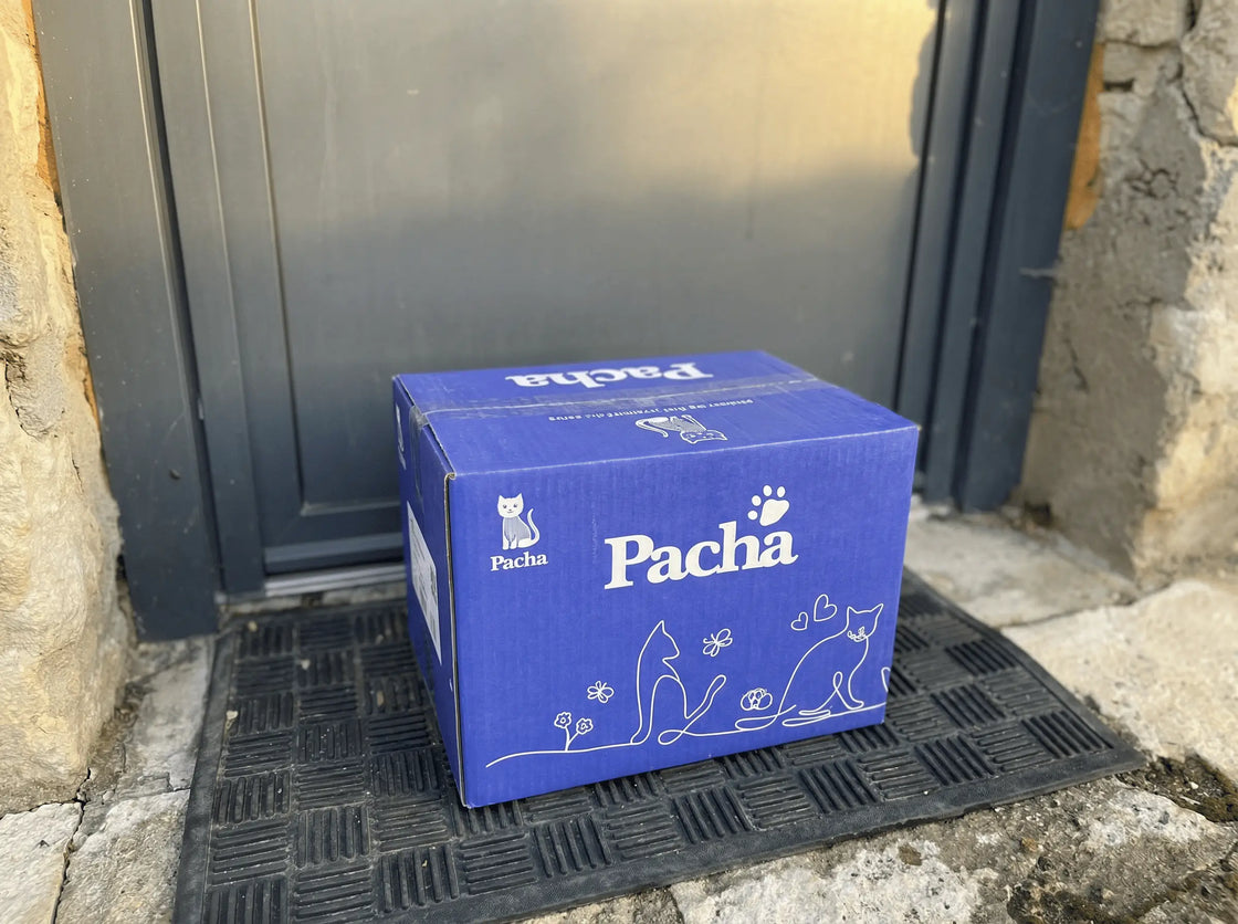 Ein Pacha-Lieferpaket auf der Türschwelle