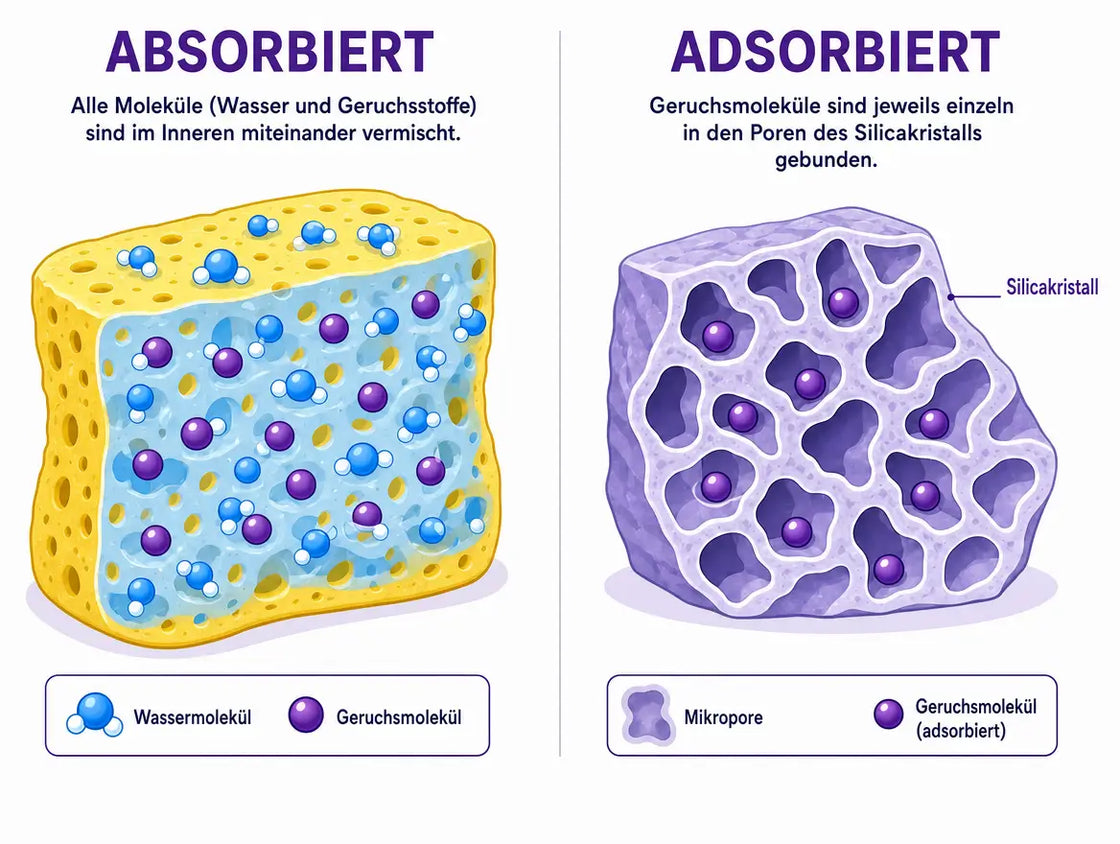 Schema: links ein Schwamm, in dem Wasser und Geruch durchmischt sind (absorbiert), rechts ein Silikatkristall, dessen Poren die Geruchsmoleküle einzeln festhalten (adsorbiert)