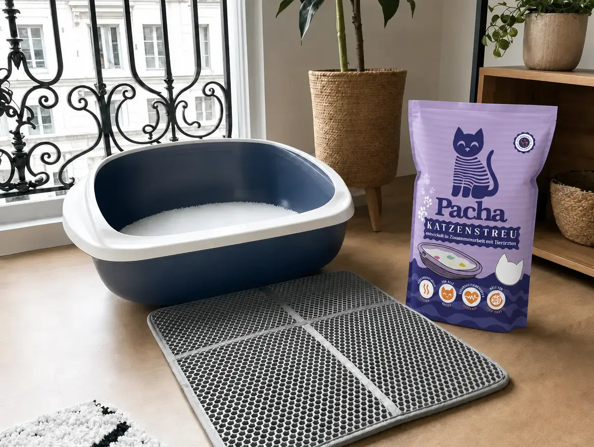 Blaue Katzentoilette mit Pacha-Streu, daneben die XL-Matte und der Pacha-Beutel in einer hellen Wohnung